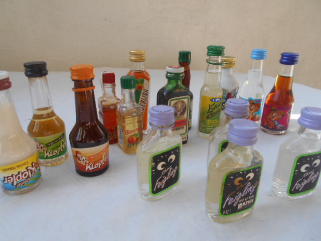 15 Kleine Schnaps Flaschen 20ml verschiedene Arten Kaufen!